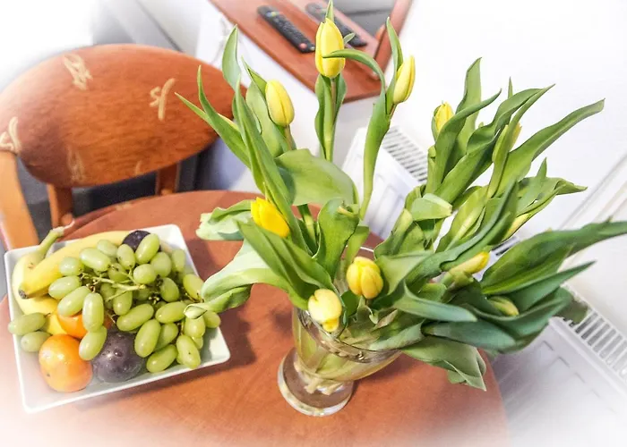 Koala Bed & Breakfast